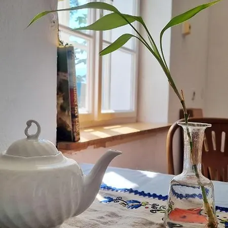 Strasser's Mountain アパート ラムサウ・アム・ダッハシュタイン